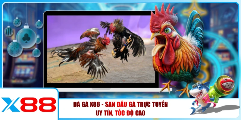 Đá Gà X88 - Sàn Đấu Gà Trực Tuyến Uy Tín, Tốc Độ Cao